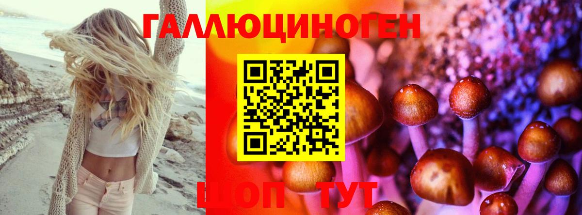 Псилоцибиновые грибы Psilocybine cubensis Калуга