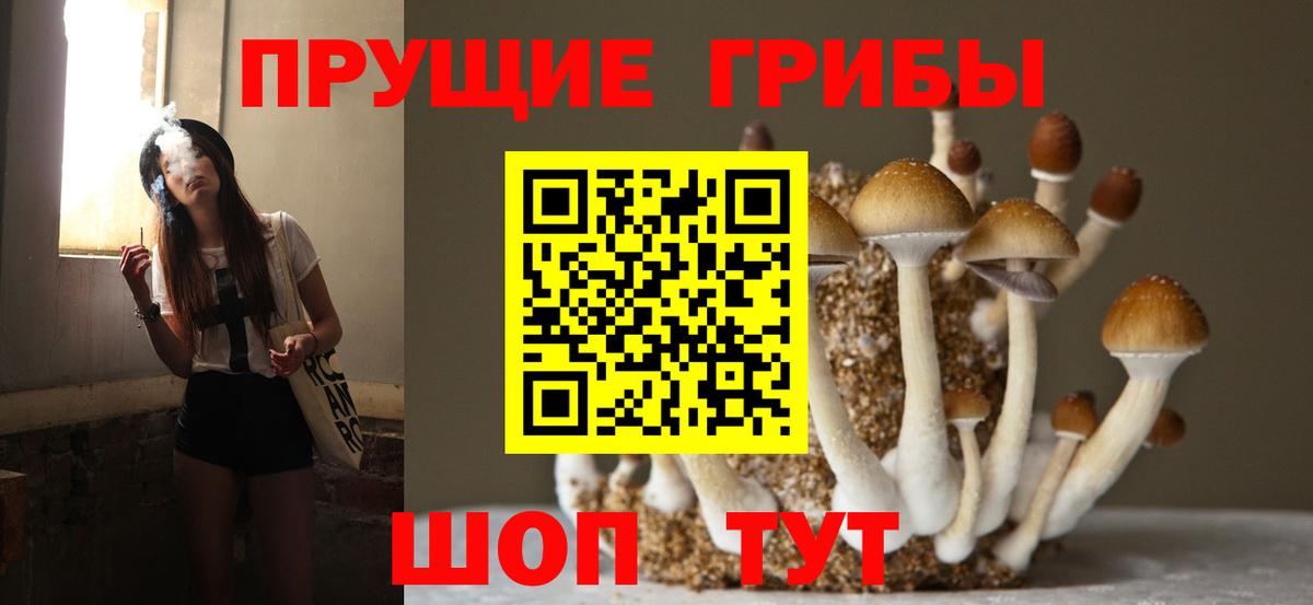 Галлюциногенные грибы Cubensis  Галлюциногенные грибы MAGIC MUSHROOMS  Калуга  Вход с VPN 